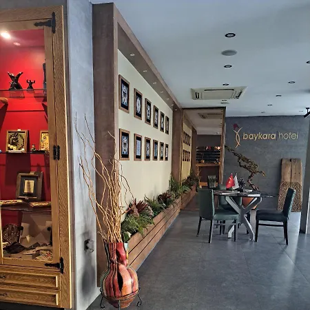 Baykara Hotel 3*