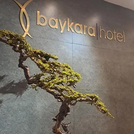 Baykara 3*