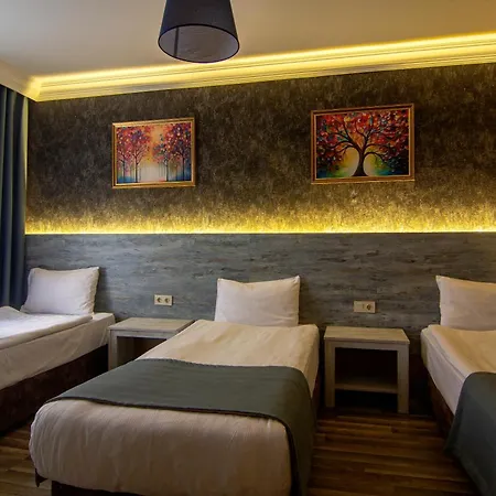 Baykara 3* Ικόνιο