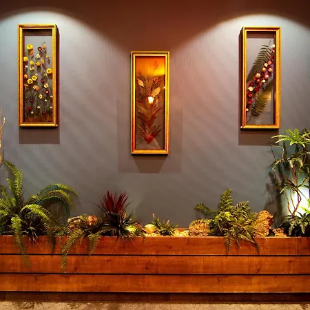 Baykara Hotel 3*