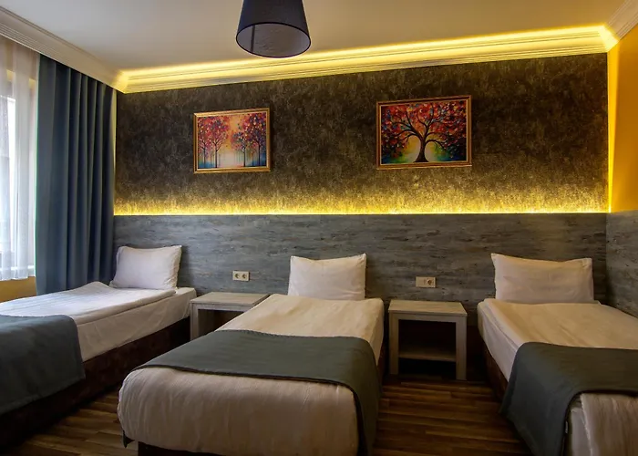 Baykara Hotel 3* Konya